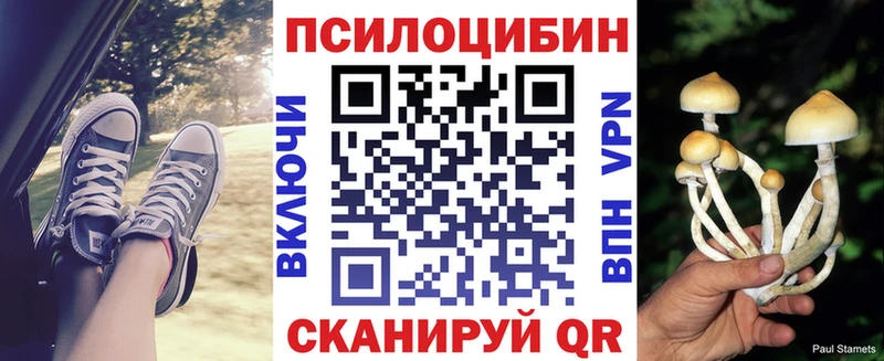 Галлюциногенные грибы мицелий  Купить закладки  Полярные Зори 
